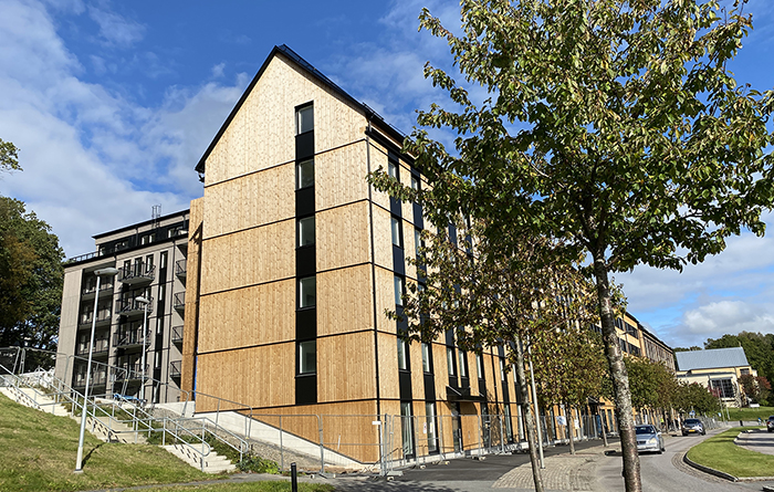 Trähus, himmel och träd